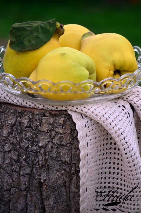Dulce de membrillo fruta